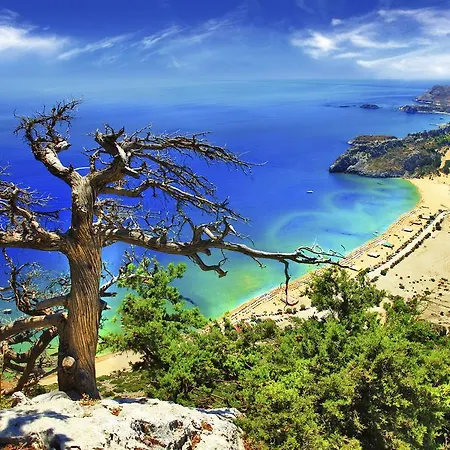 The Colourful Aria Of The Old Town * עיר רודוס